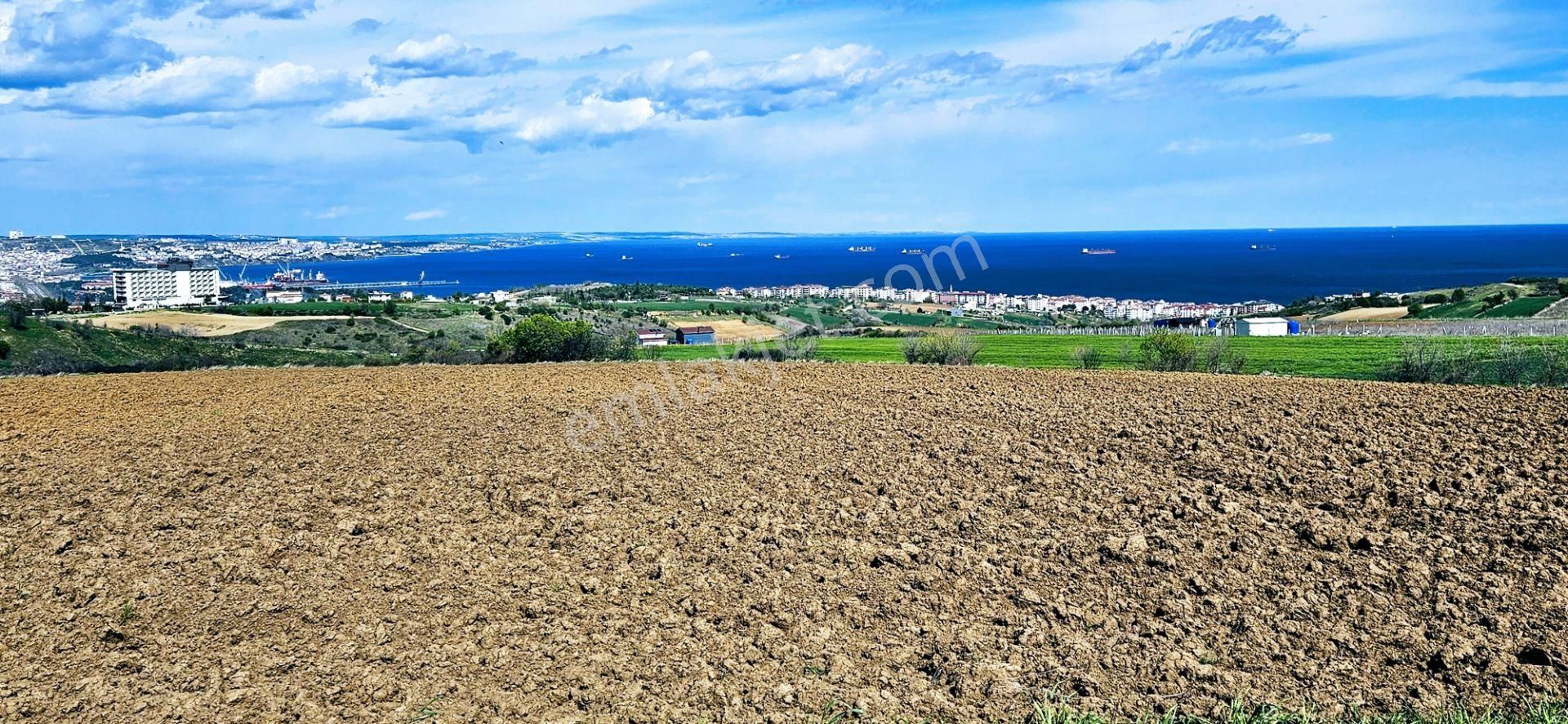 Muhteşem Deniz Doğa Ve Şehir Manzaralı 32 Adet Villa Projesine Uygun Fırsat Arazi - Görsel 2