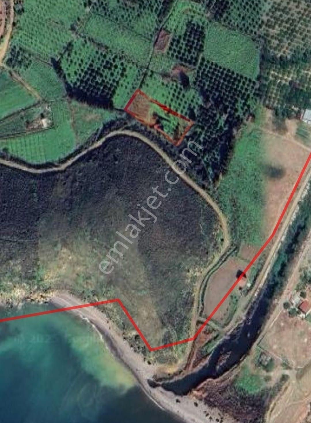 Karaburun Salman'da Denize 150m Yürüme Mesafesinde Tarla