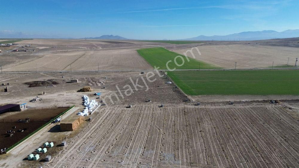 Konya / Emirgazi / Işıklar 646 M² Konut İmarlı Arsa - Görsel 4