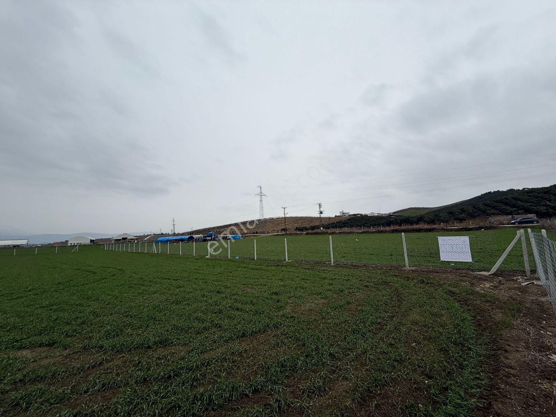 Kocaveliler Yolu 2.parsel Satılık Etrafı Çevrili Hobi Bahçesi - Görsel 6