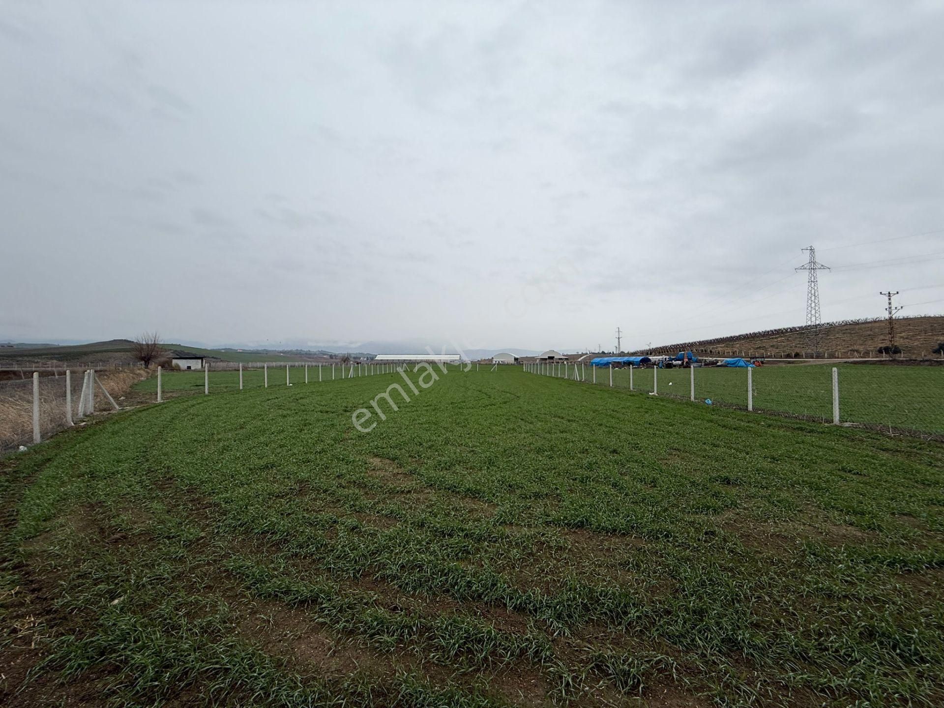 Kocaveliler Yolu 2.parsel Satılık Etrafı Çevrili Hobi Bahçesi - Görsel 3