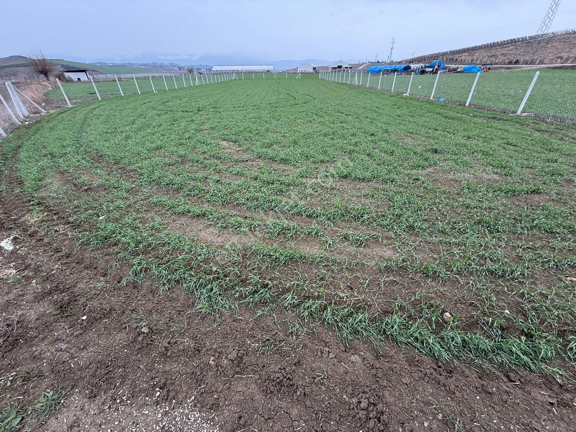 Kocaveliler Yolu 2.parsel Satılık Etrafı Çevrili Hobi Bahçesi - Görsel 8
