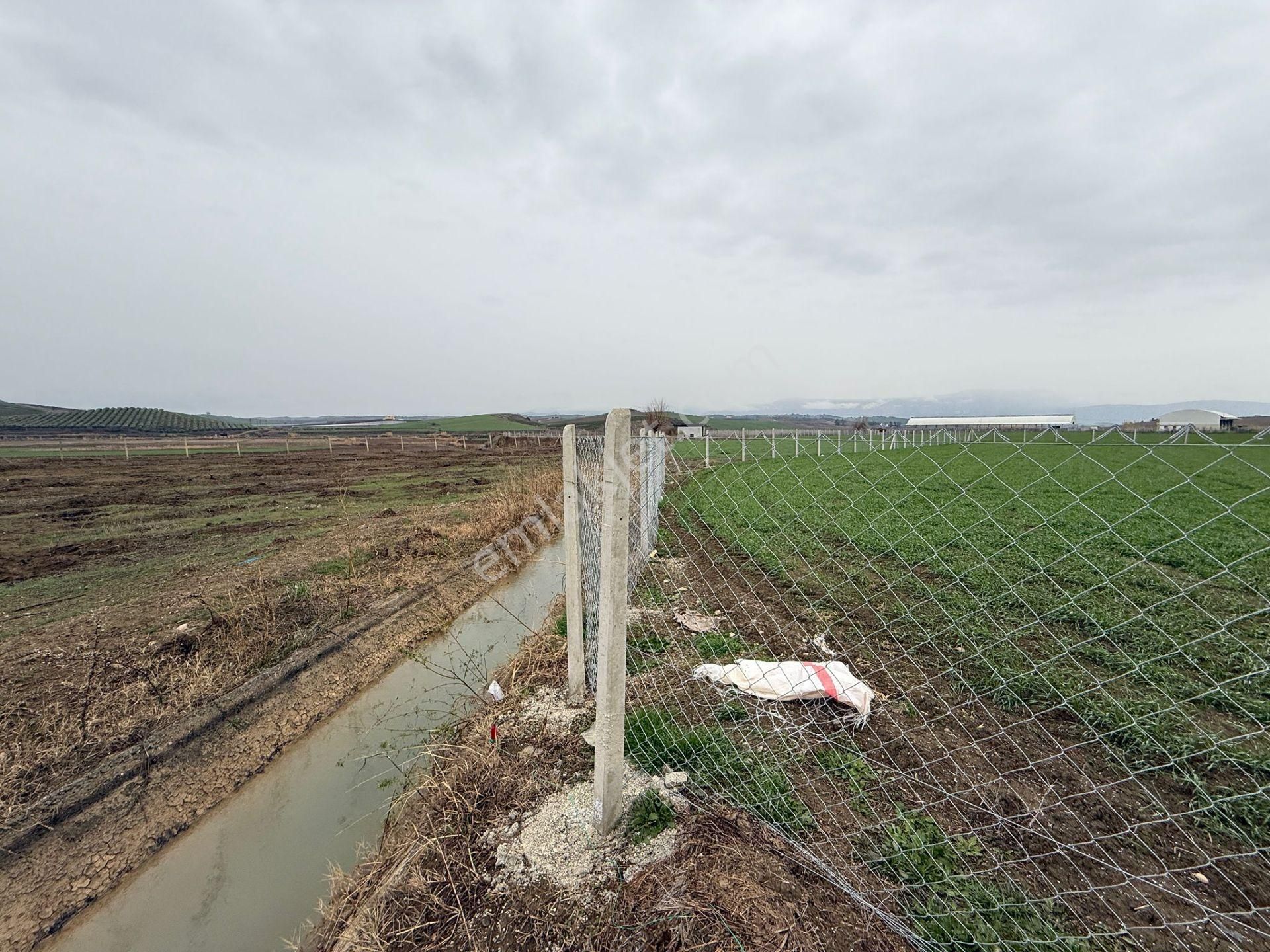 Kocaveliler Yolu 2.parsel Satılık Etrafı Çevrili Hobi Bahçesi - Görsel 7