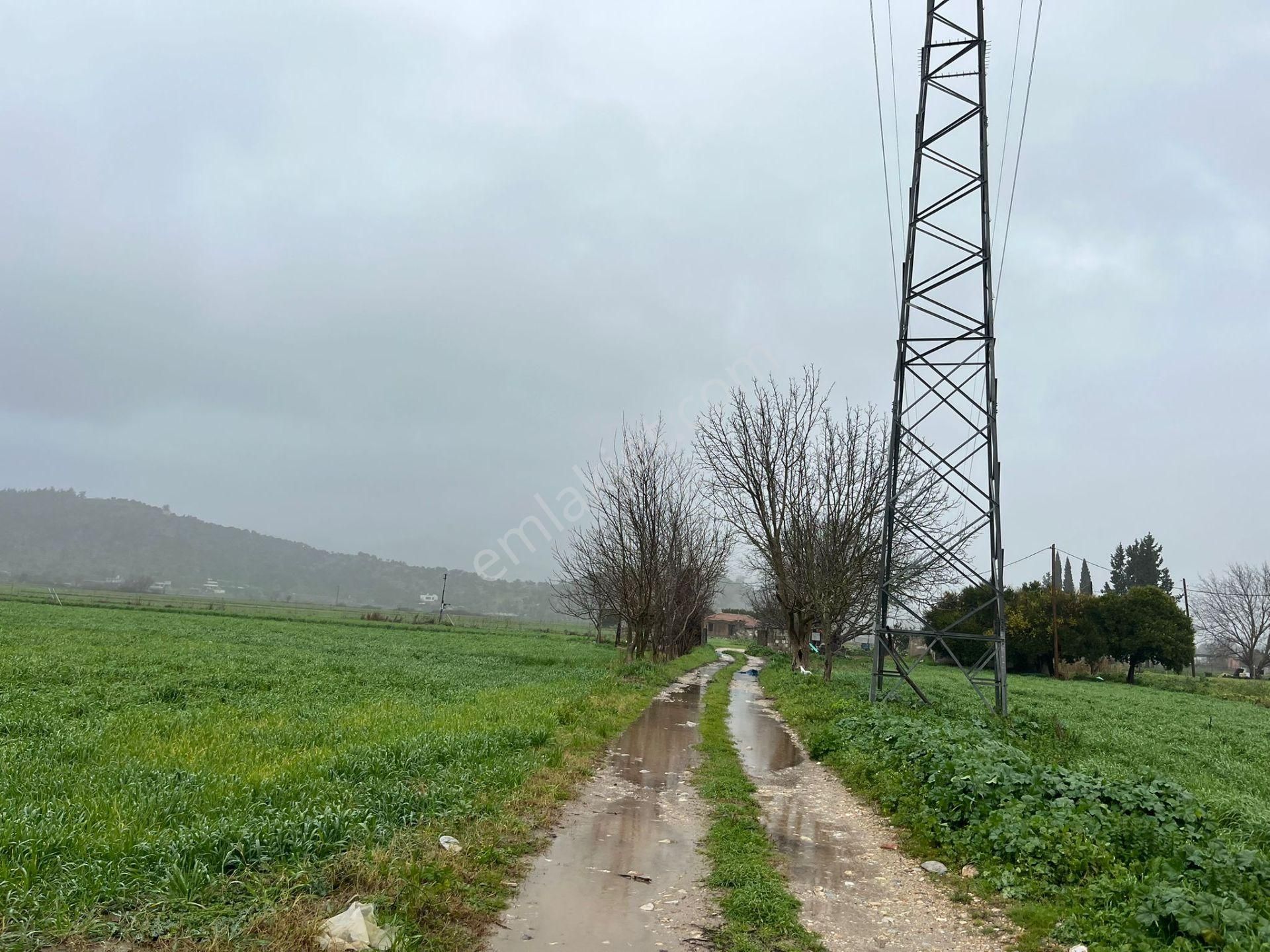 Bodrumun Dibinde Kupon Tarla! İzmir Yoluna 800 Metre - Görsel 5