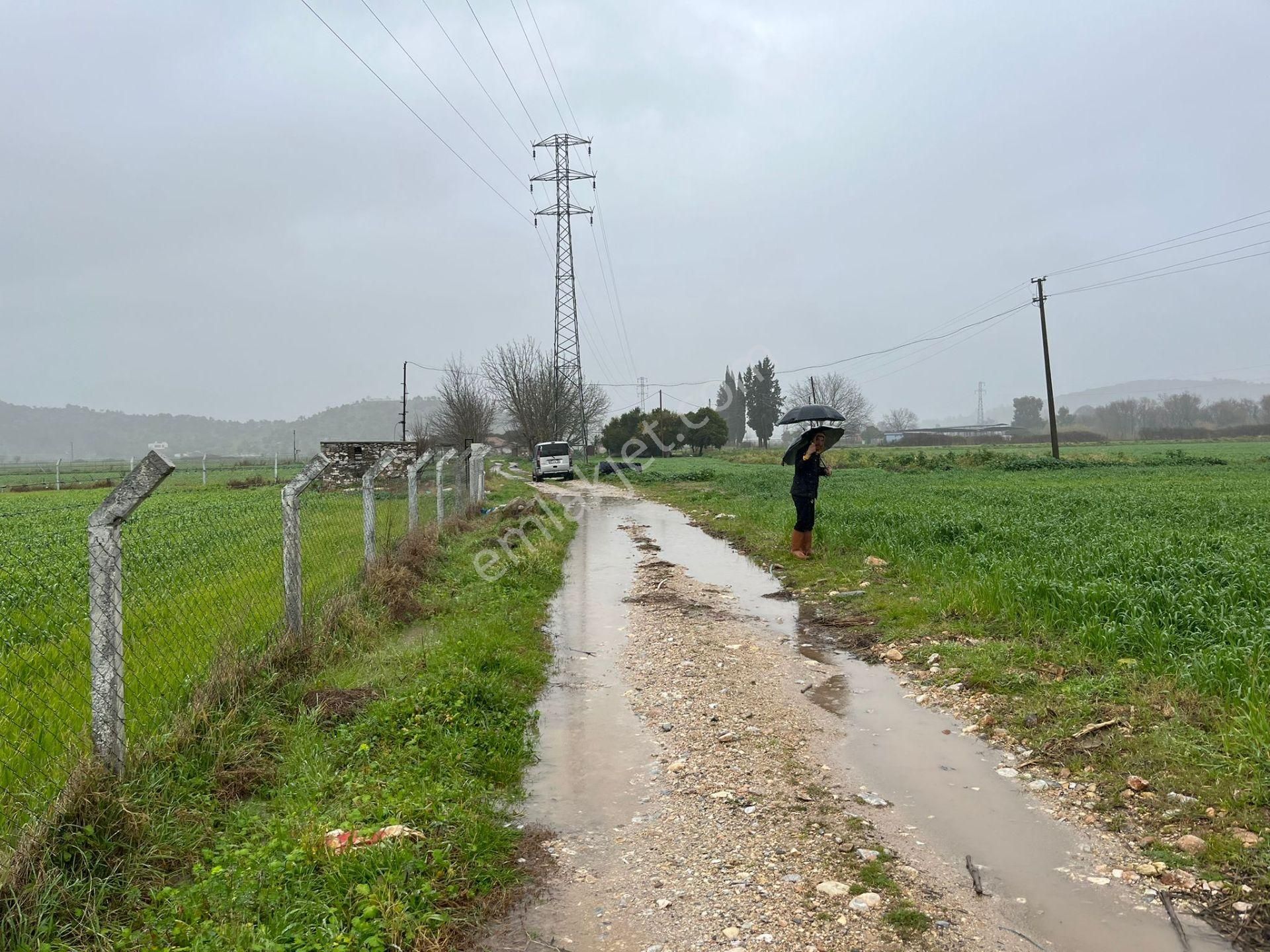 Bodrumun Dibinde Kupon Tarla! İzmir Yoluna 800 Metre - Görsel 6