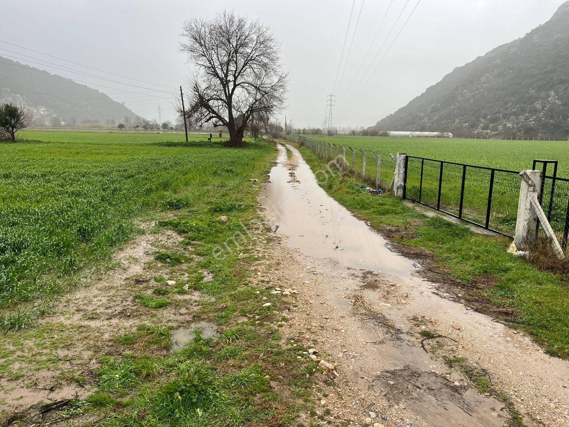 Bodrumun Dibinde Kupon Tarla! İzmir Yoluna 800 Metre - Görsel 2