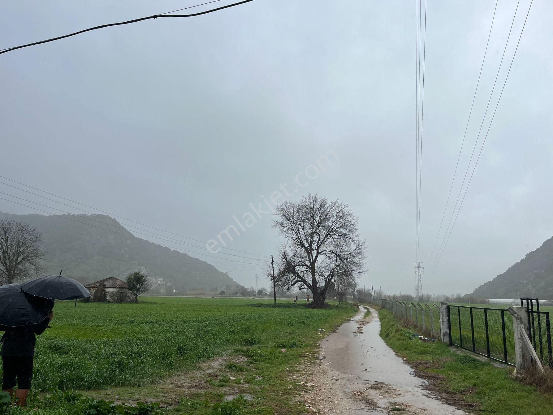 Bodrumun Dibinde Kupon Tarla! İzmir Yoluna 800 Metre - Görsel 10