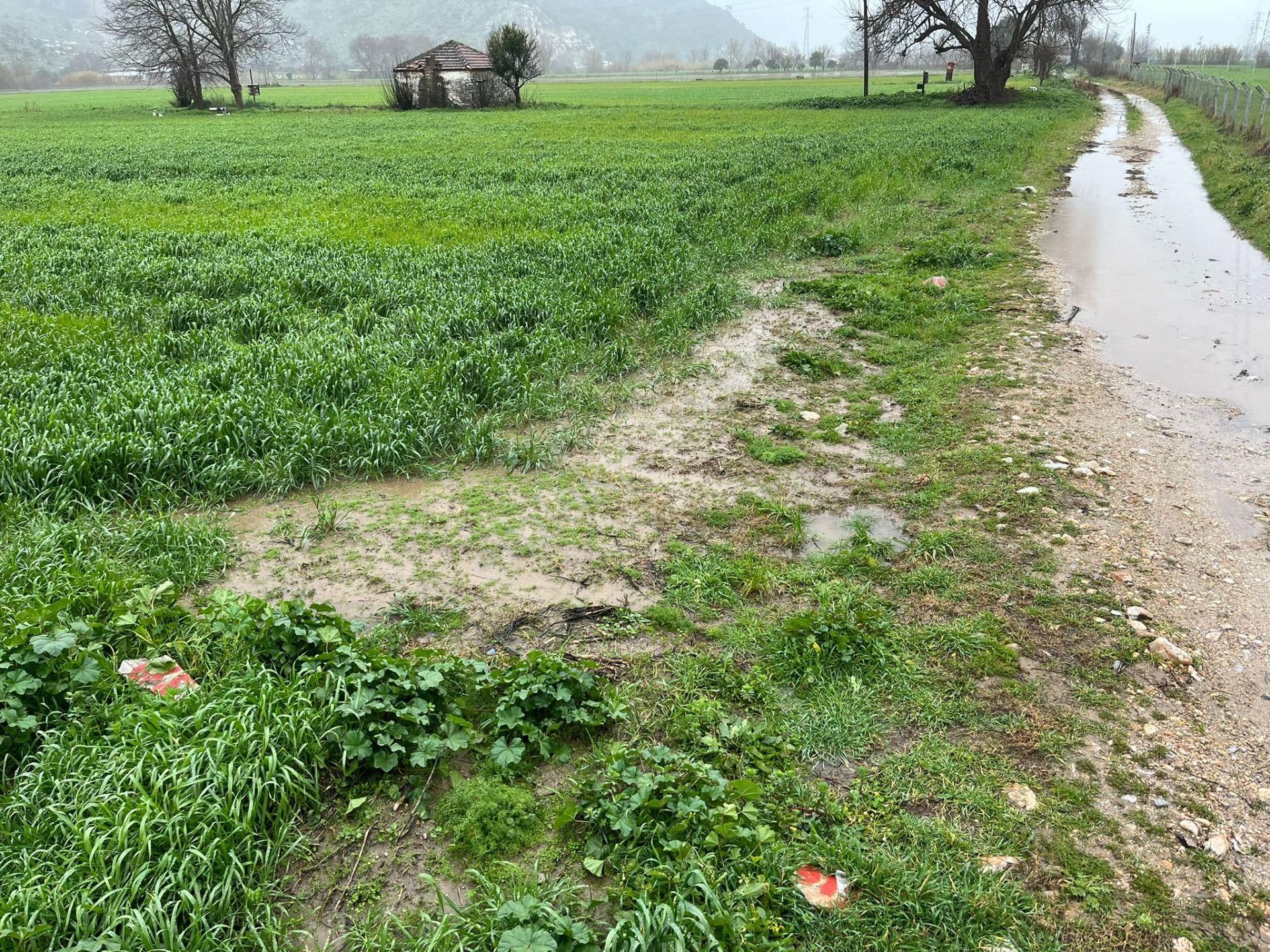 Bodrumun Dibinde Kupon Tarla! İzmir Yoluna 800 Metre - Görsel 11