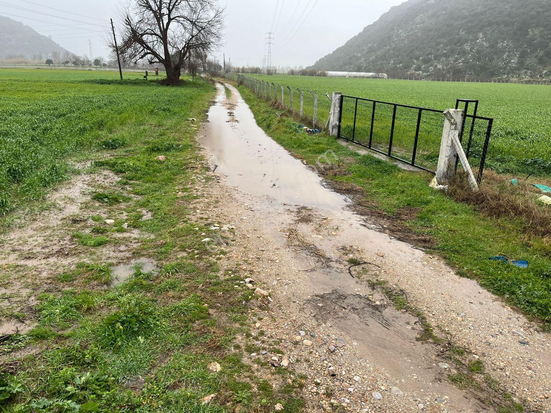 Bodrumun Dibinde Kupon Tarla! İzmir Yoluna 800 Metre - Görsel 3