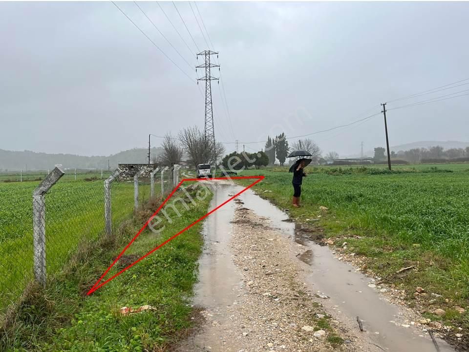Bodrumun Dibinde Kupon Tarla! İzmir Yoluna 800 Metre - Görsel 4
