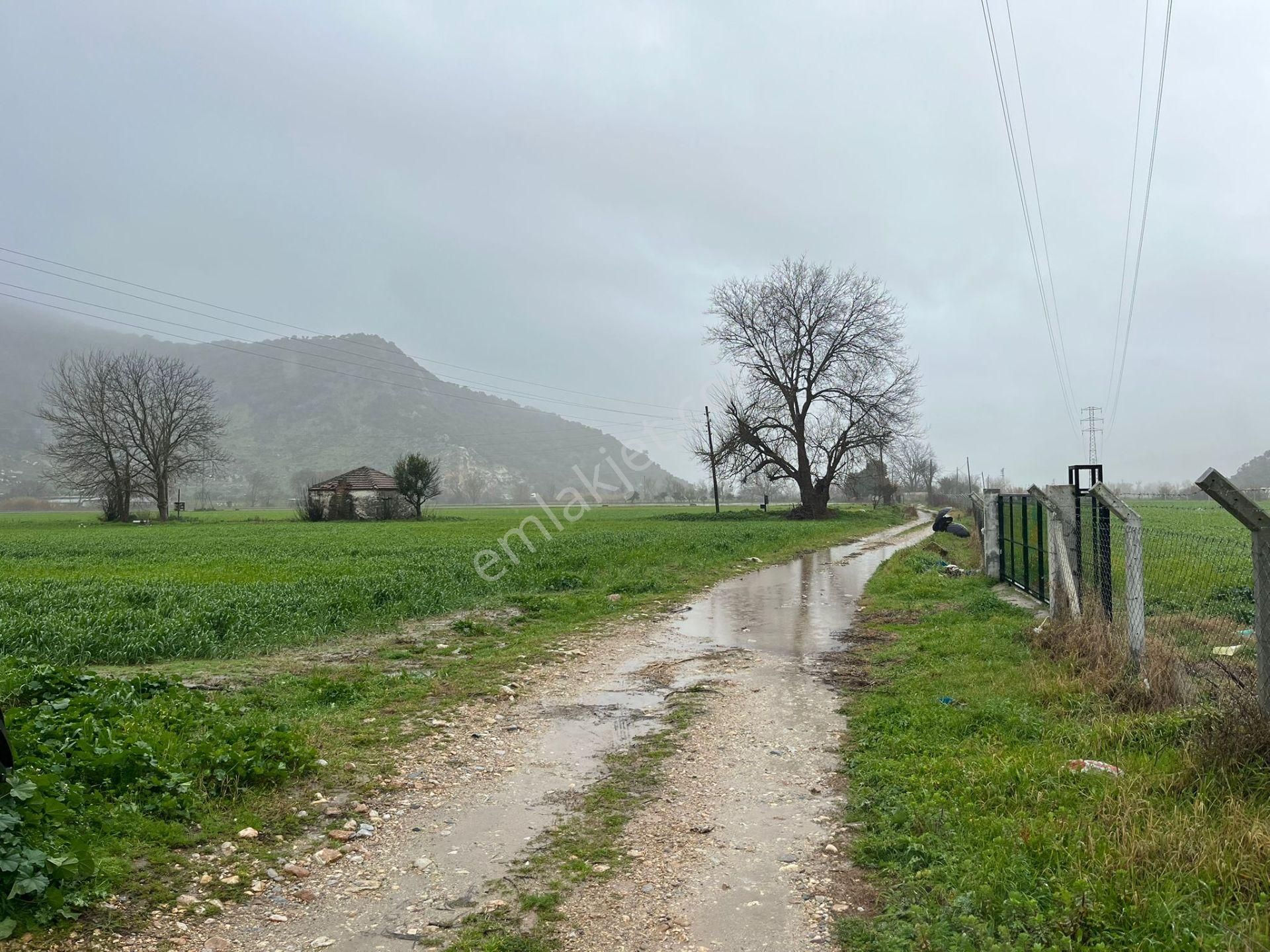 Bodrumun Dibinde Kupon Tarla! İzmir Yoluna 800 Metre - Görsel 9