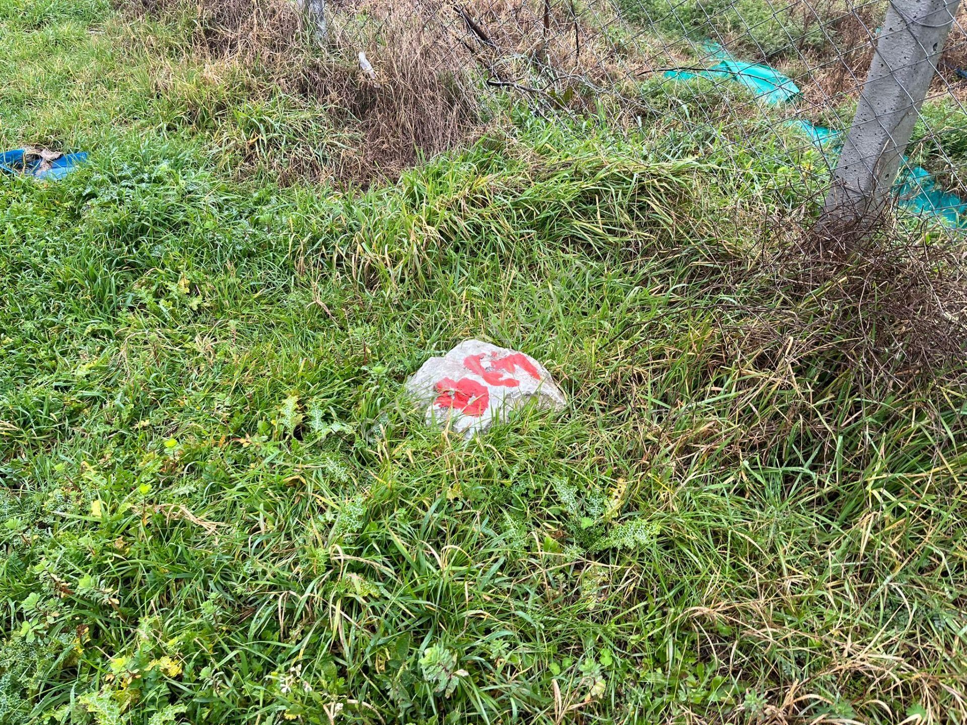 Bodrumun Dibinde Kupon Tarla! İzmir Yoluna 800 Metre - Görsel 12