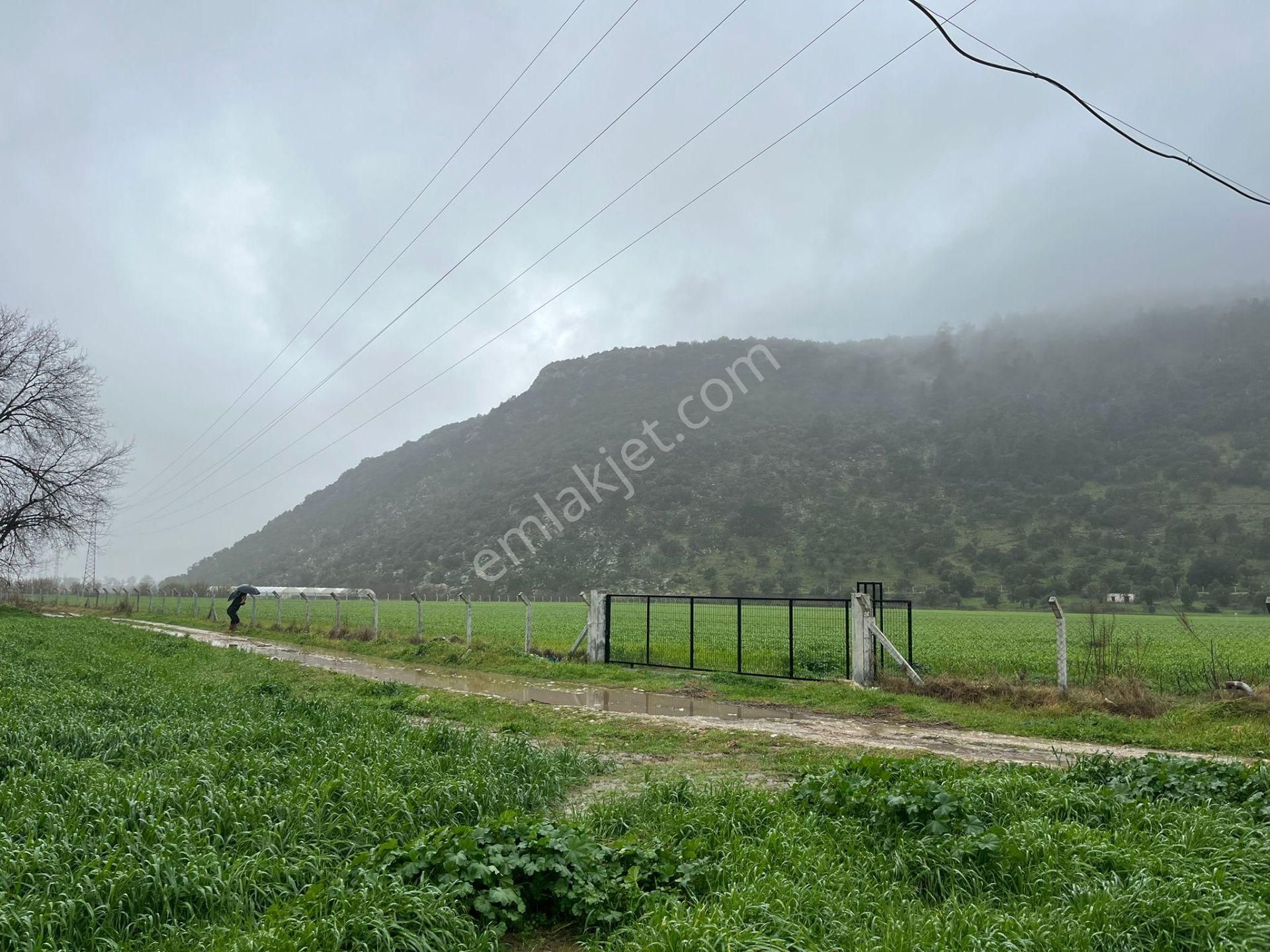 Bodrumun Dibinde Kupon Tarla! İzmir Yoluna 800 Metre - Görsel 7