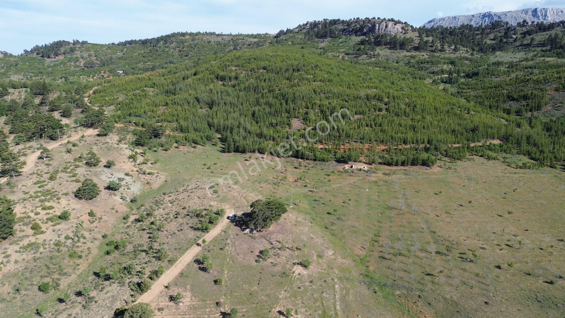 Konya / Hadim / Göynükkışla Mahallesinde 1.781 M² Müstakil Tapulu Tarla - Görsel 4