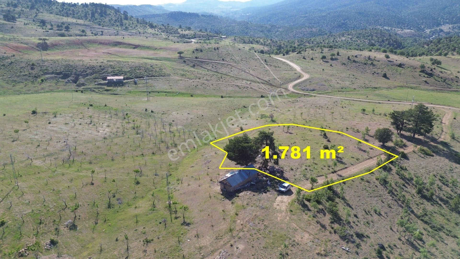 Konya / Hadim / Göynükkışla Mahallesinde 1.781 M² Müstakil Tapulu Tarla - Görsel 2