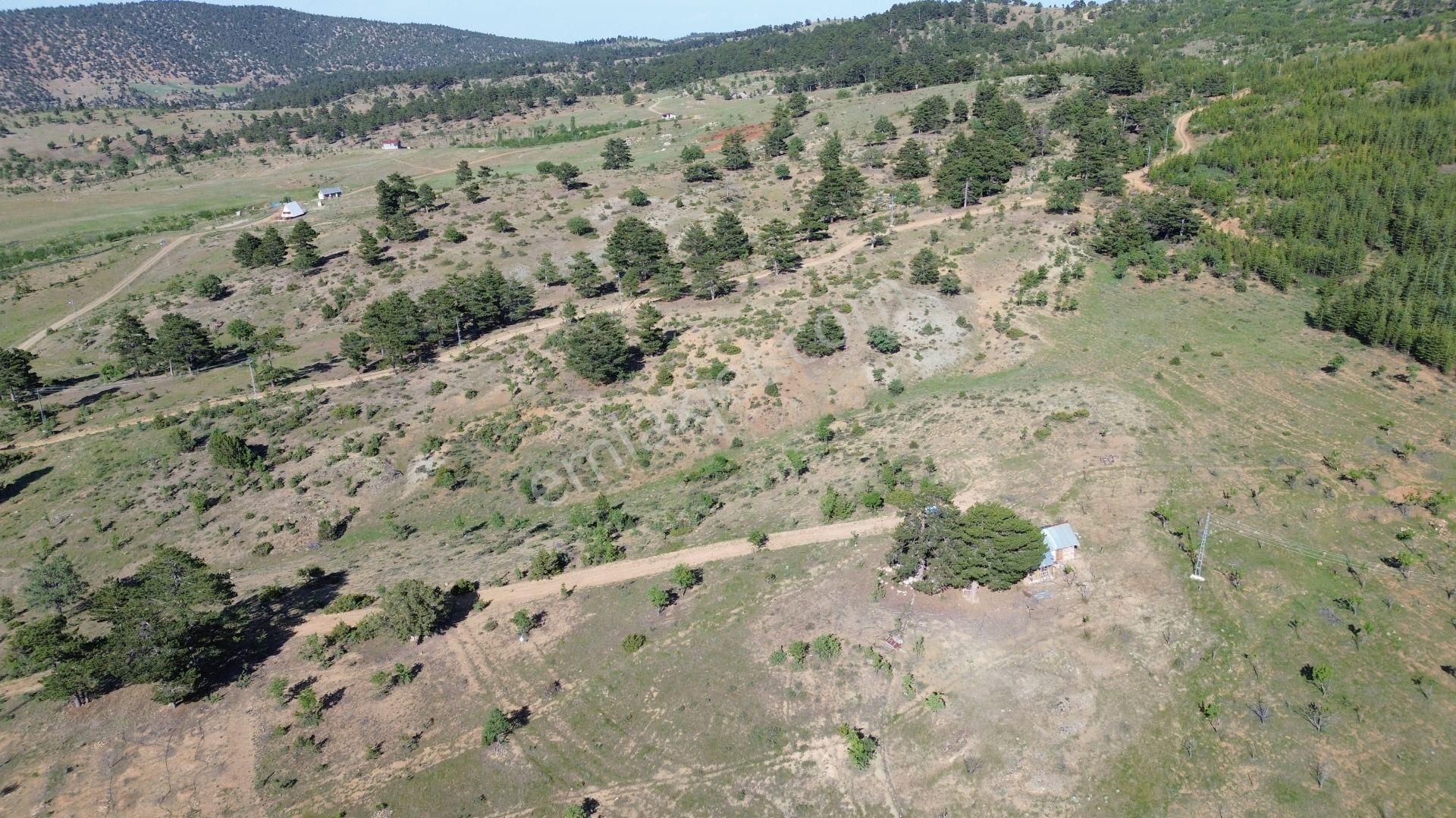 Konya / Hadim / Göynükkışla Mahallesinde 1.781 M² Müstakil Tapulu Tarla - Görsel 3