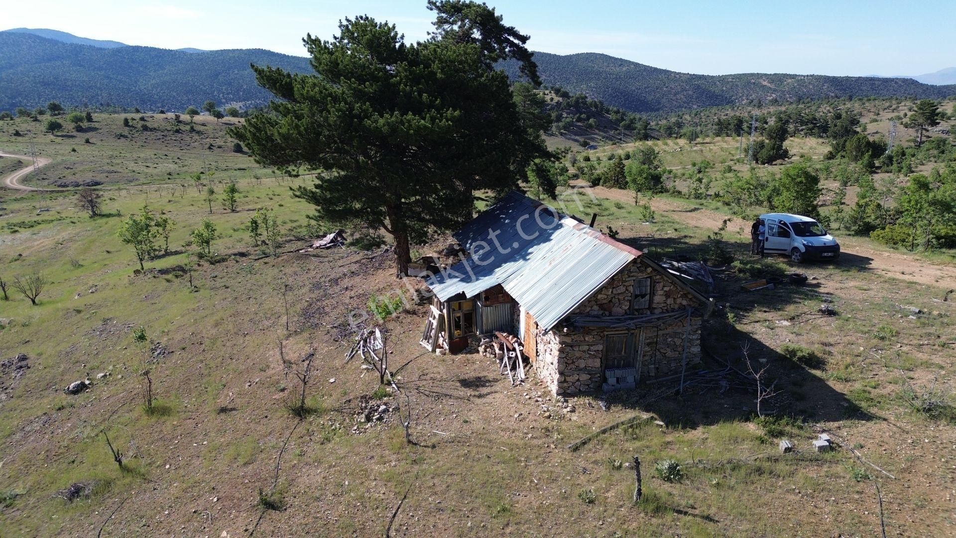 Konya / Hadim / Göynükkışla Mahallesinde 1.781 M² Müstakil Tapulu Tarla - Görsel 6