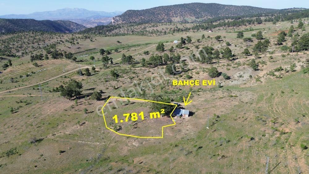 Konya / Hadim / Göynükkışla Mahallesinde 1.781 M² Müstakil Tapulu Tarla