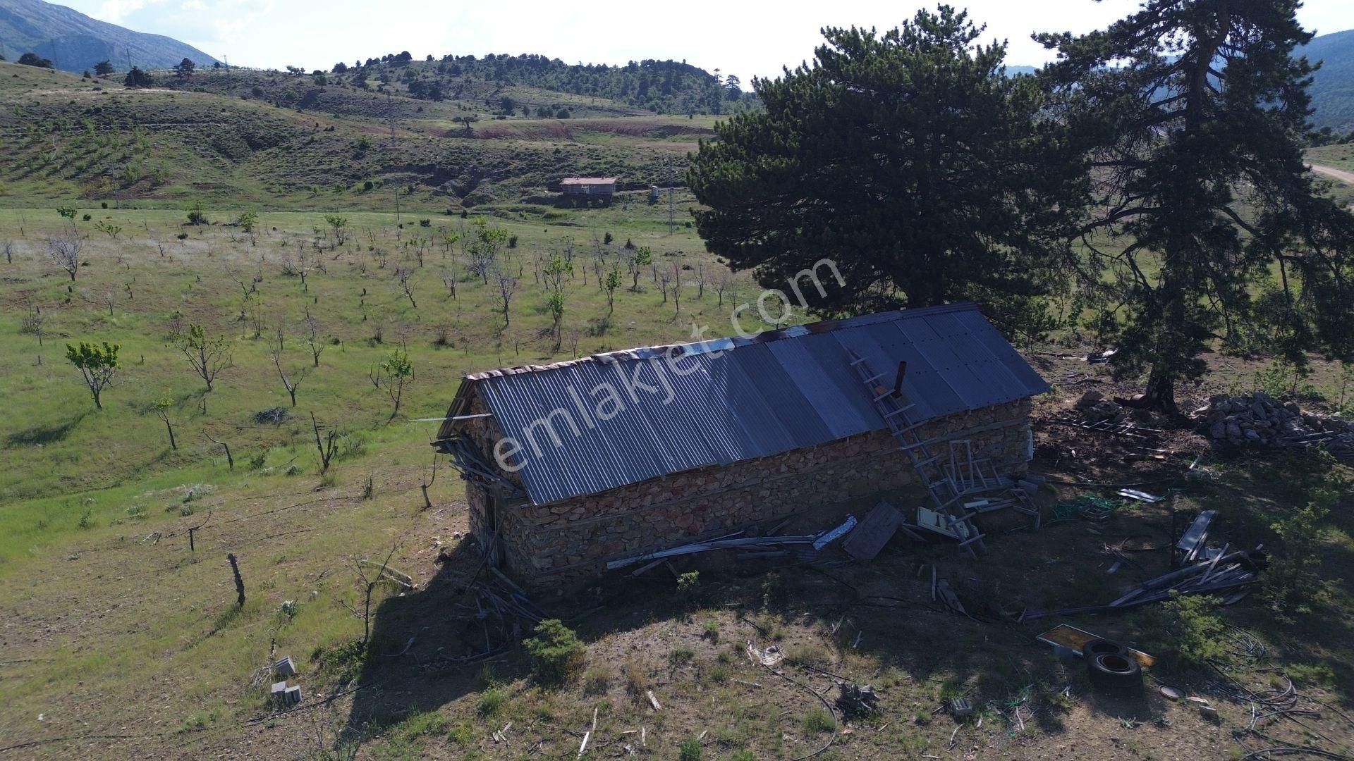 Konya / Hadim / Göynükkışla Mahallesinde 1.781 M² Müstakil Tapulu Tarla - Görsel 5