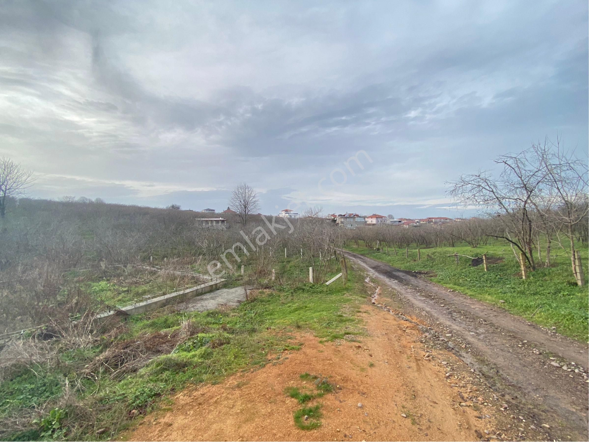 1.000.000 Tl Peşin Kalan Miktar, 20 Ay Elden Taksitle. Kuyumculu Köy Merkezinde 380 M2 Satılık Arsa - Görsel 17