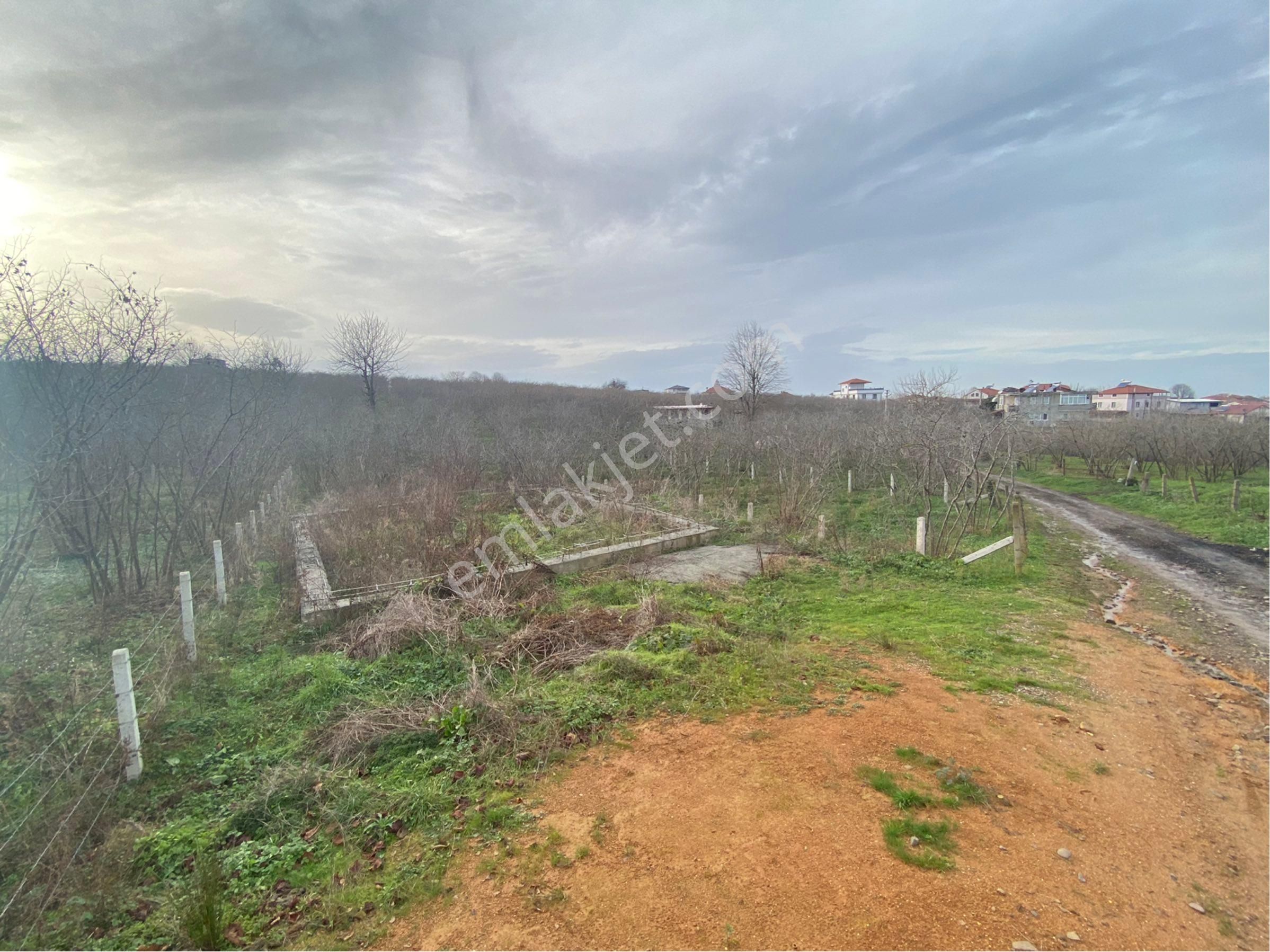 1.000.000 Tl Peşin Kalan Miktar, 20 Ay Elden Taksitle. Kuyumculu Köy Merkezinde 380 M2 Satılık Arsa - Görsel 13