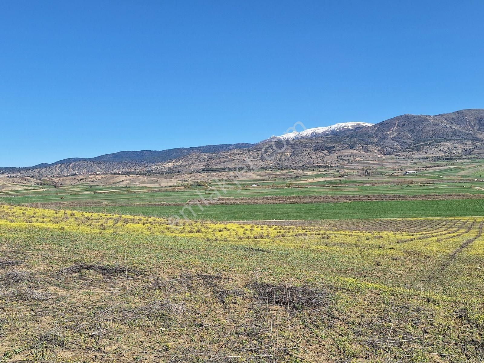 Burdur Kemer De 9150 M2 Kadostra Yolu Mevcut - Görsel 9
