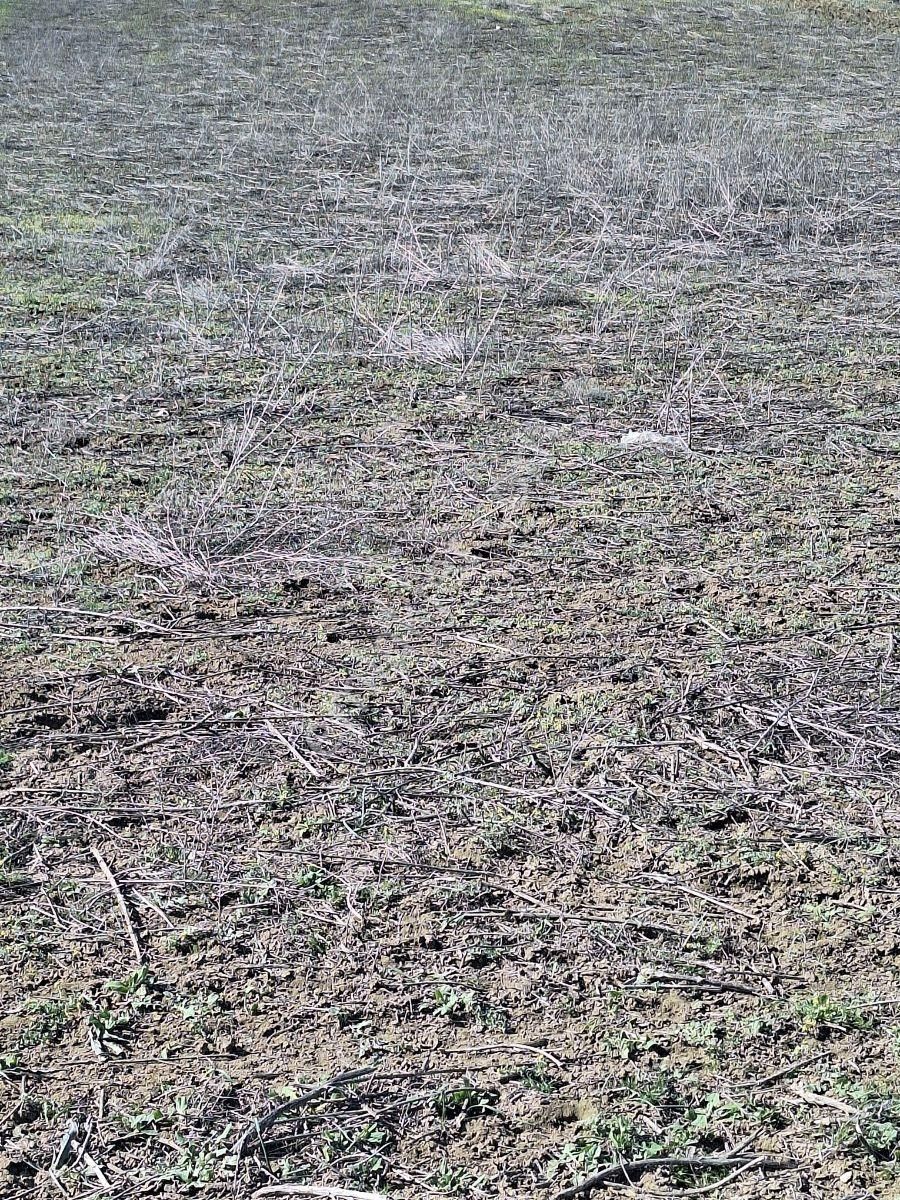 Burdur Kemer De 9150 M2 Kadostra Yolu Mevcut - Görsel 6