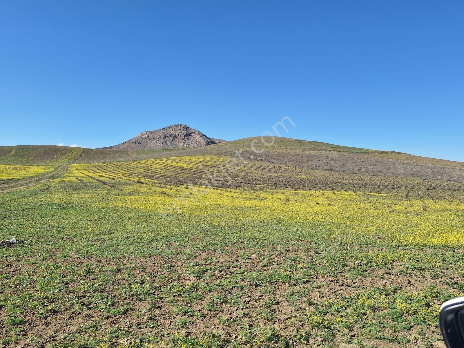 Burdur Kemer De 9150 M2 Kadostra Yolu Mevcut - Görsel 5