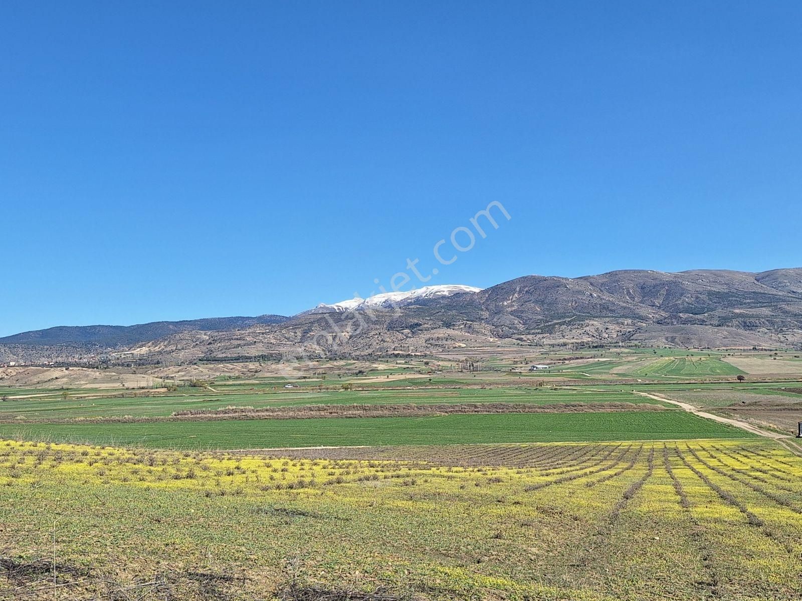 Burdur Kemer De 9150 M2 Kadostra Yolu Mevcut - Görsel 3