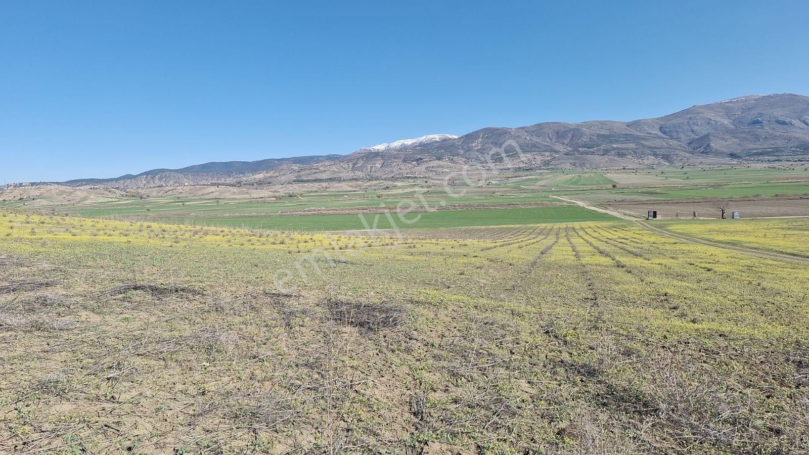 Burdur Kemer De 9150 M2 Kadostra Yolu Mevcut - Görsel 15