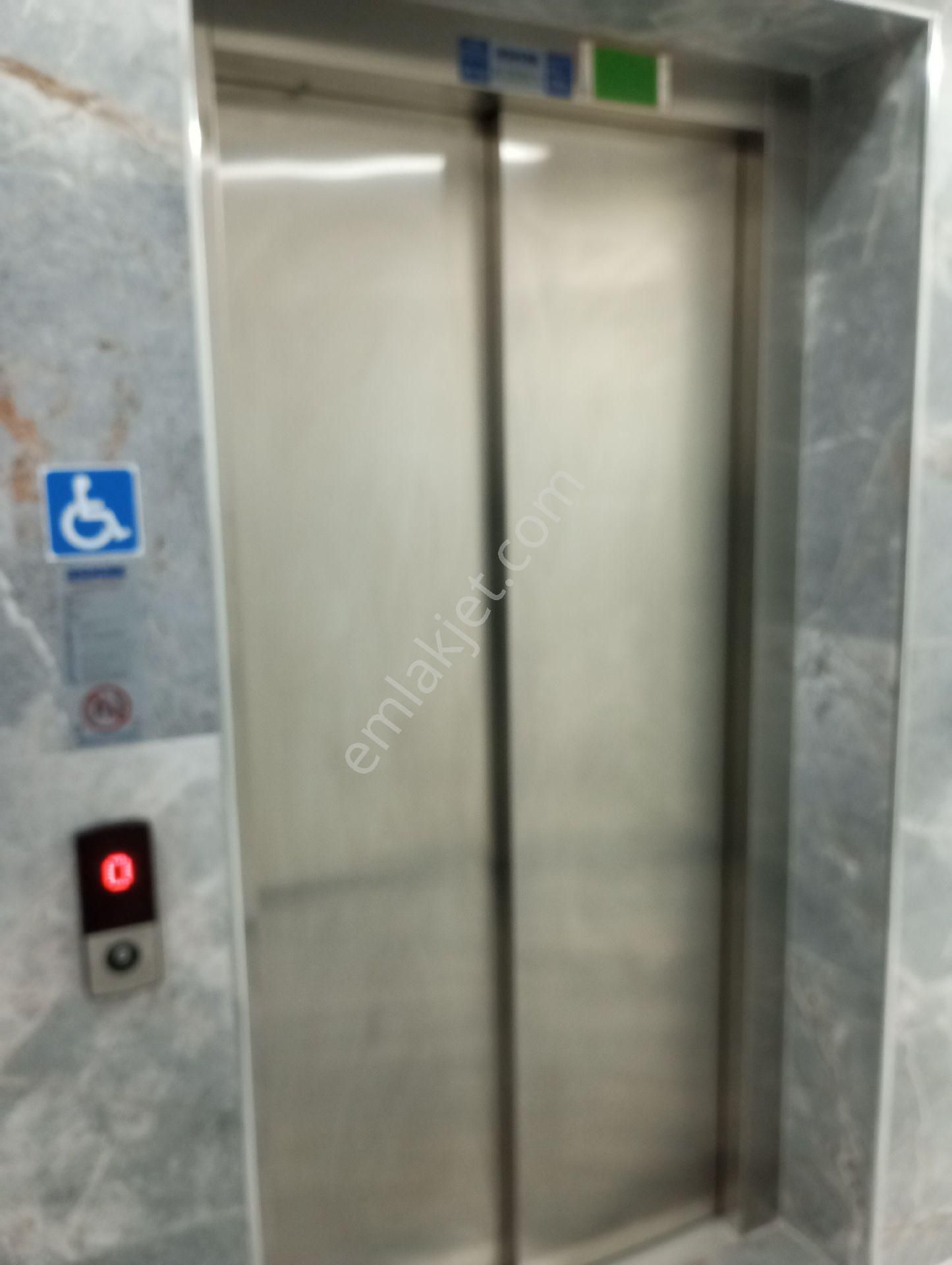 Çevre Yolu Karşıs Çınarlı Mah. 2+0 Daire I - Görsel 16