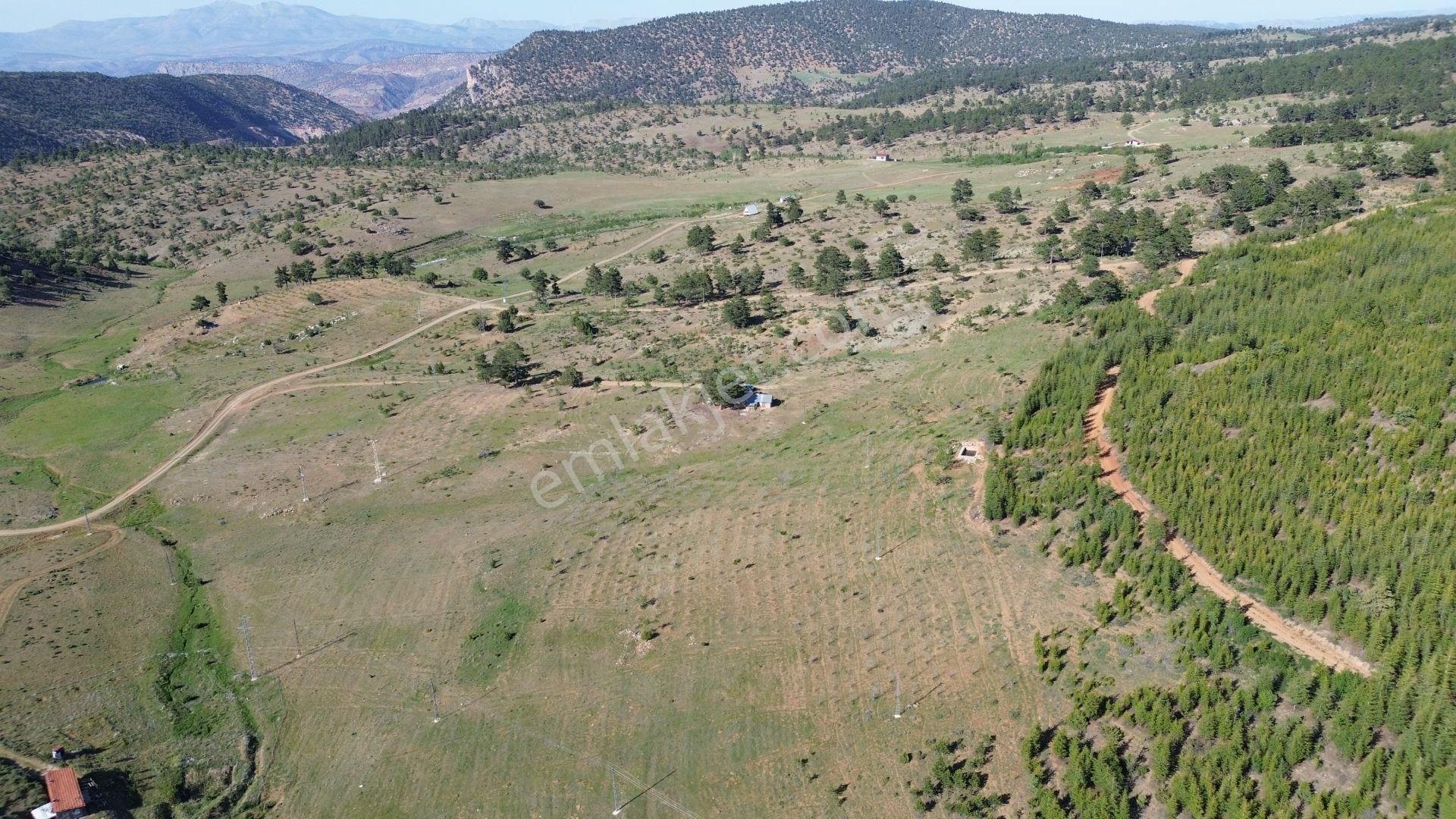 Konya / Hadim / Göynükkışla Mahallesinde 3.149 M² Müstakil Tapulu Tarla - Görsel 7