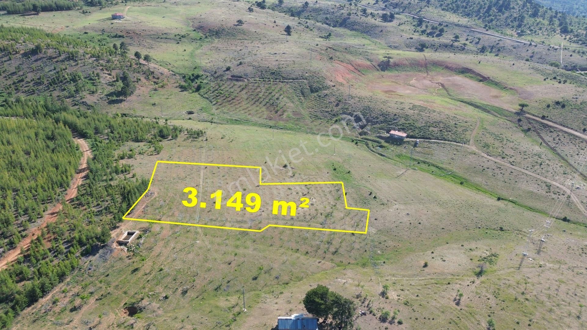 Konya / Hadim / Göynükkışla Mahallesinde 3.149 M² Müstakil Tapulu Tarla - Görsel 4