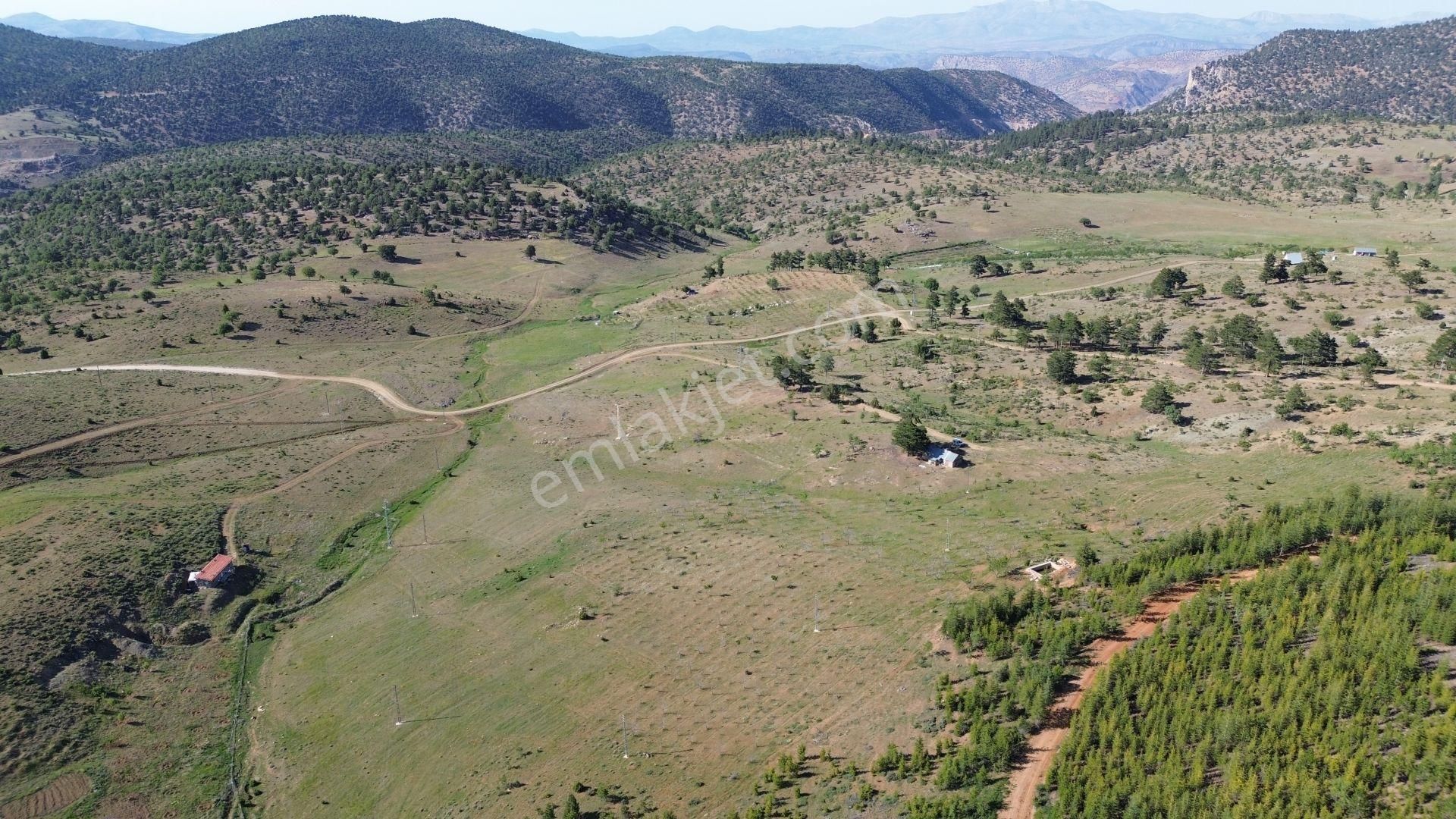 Konya / Hadim / Göynükkışla Mahallesinde 3.149 M² Müstakil Tapulu Tarla - Görsel 2