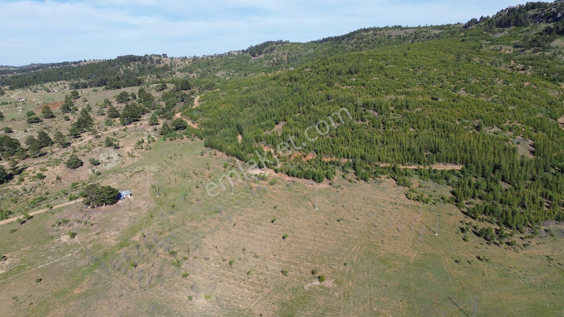 Konya / Hadim / Göynükkışla Mahallesinde 3.149 M² Müstakil Tapulu Tarla - Görsel 8