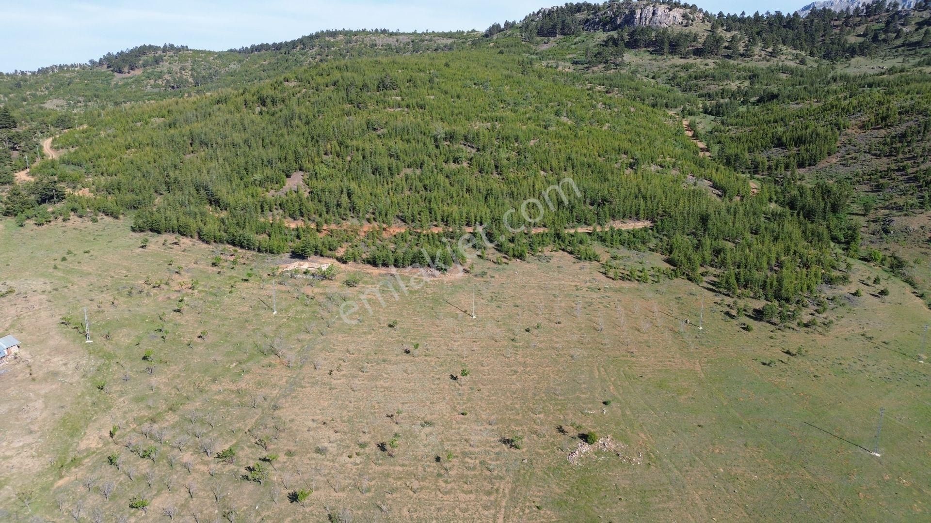 Konya / Hadim / Göynükkışla Mahallesinde 3.149 M² Müstakil Tapulu Tarla - Görsel 3