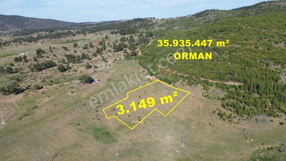Konya / Hadim / Göynükkışla Mahallesinde 3.149 M² Müstakil Tapulu Tarla