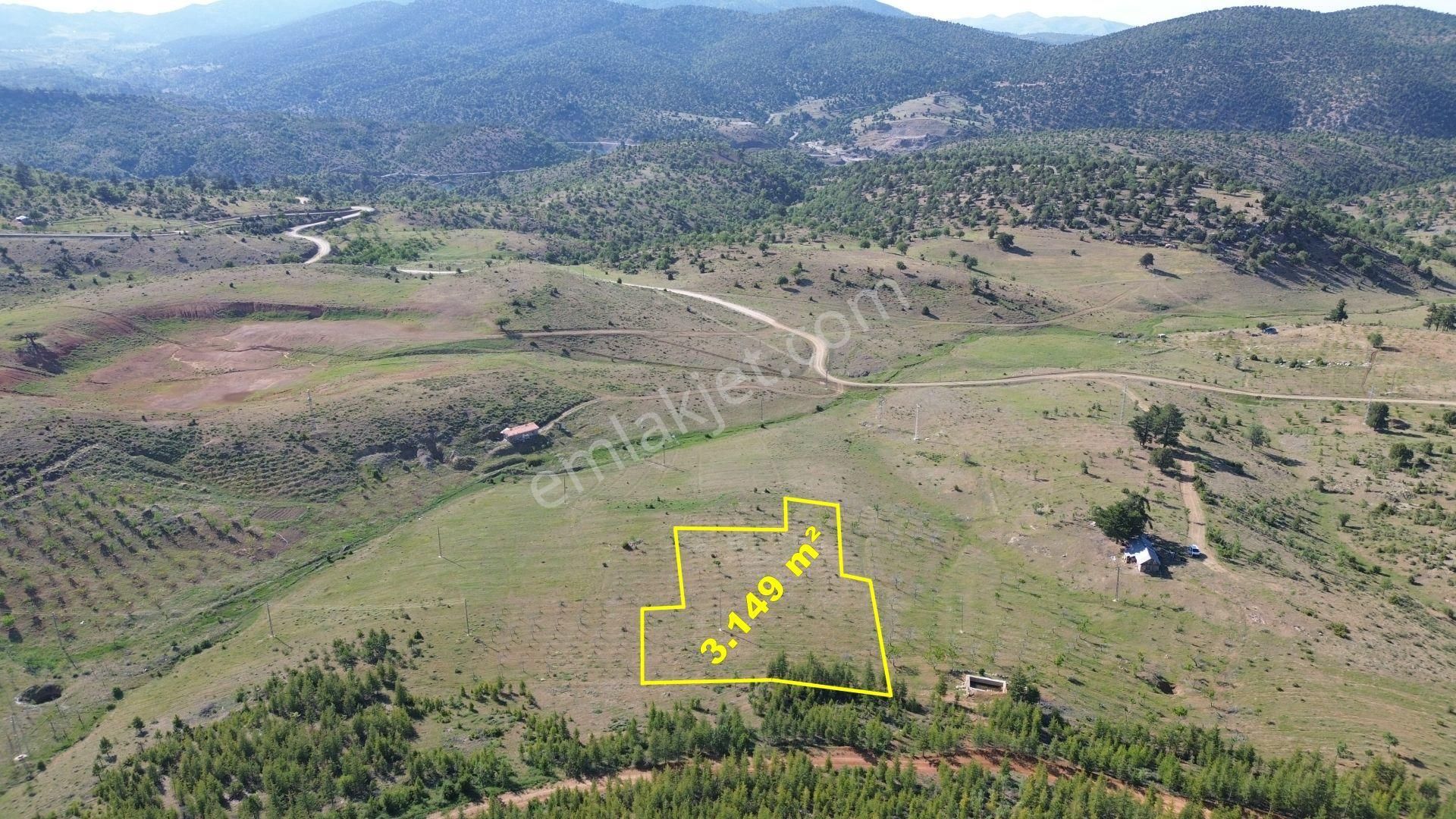 Konya / Hadim / Göynükkışla Mahallesinde 3.149 M² Müstakil Tapulu Tarla - Görsel 5