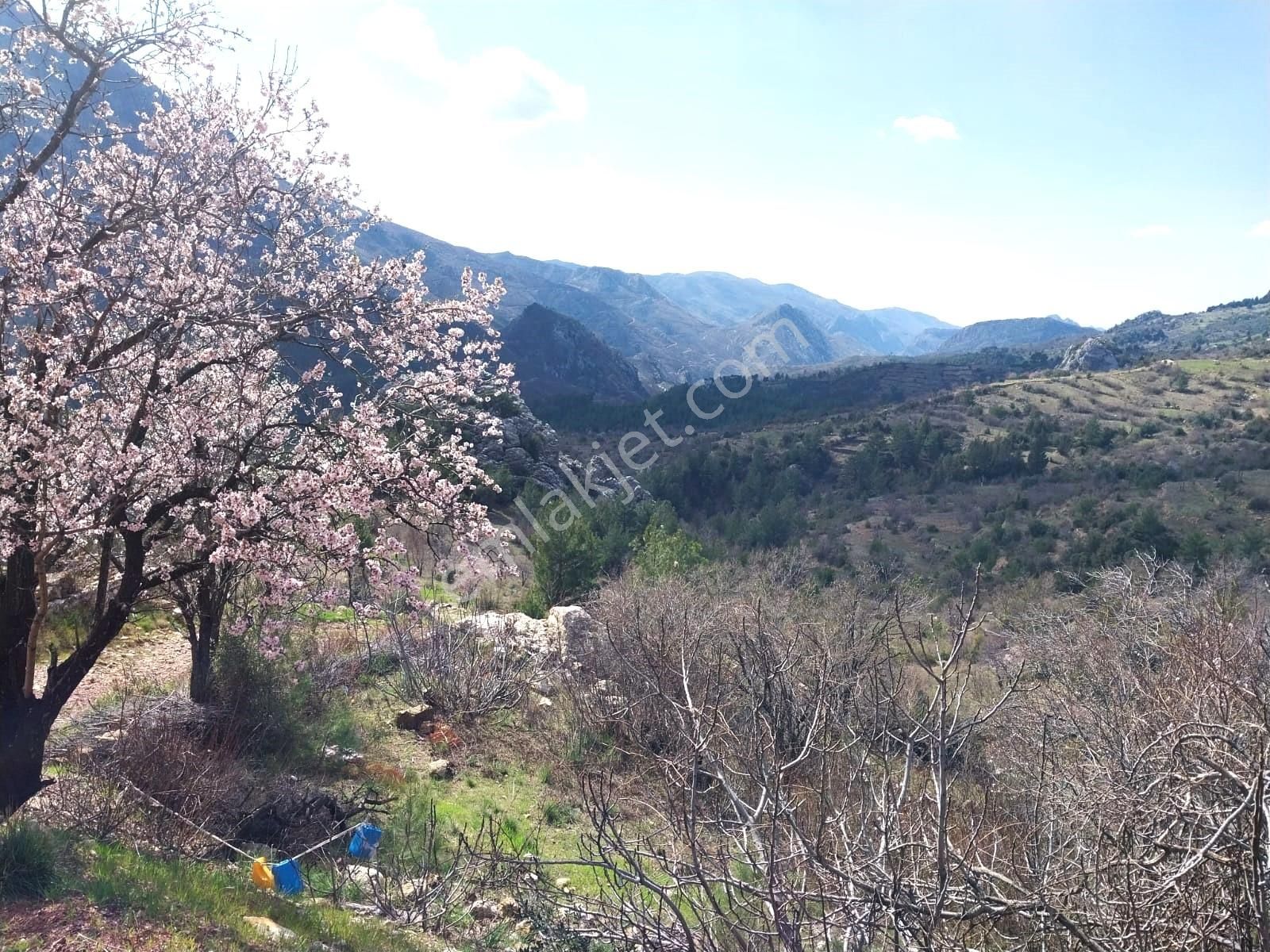 Akseki Güneykaya,da 8734 M2 Satılık Tarla - Görsel 4