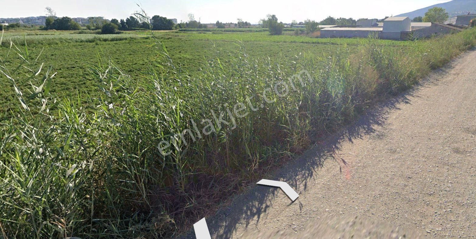 Karacabey Hamidiye'de 7,475 M2 Satılık Arazi - Görsel 9