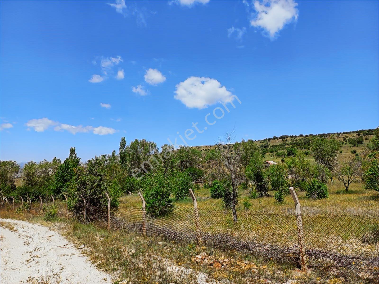 Çamlıdere Elmalı'da 5693 M2 Meyve Ağaçlı Tek Tapu Satılık Bahçe - Görsel 12