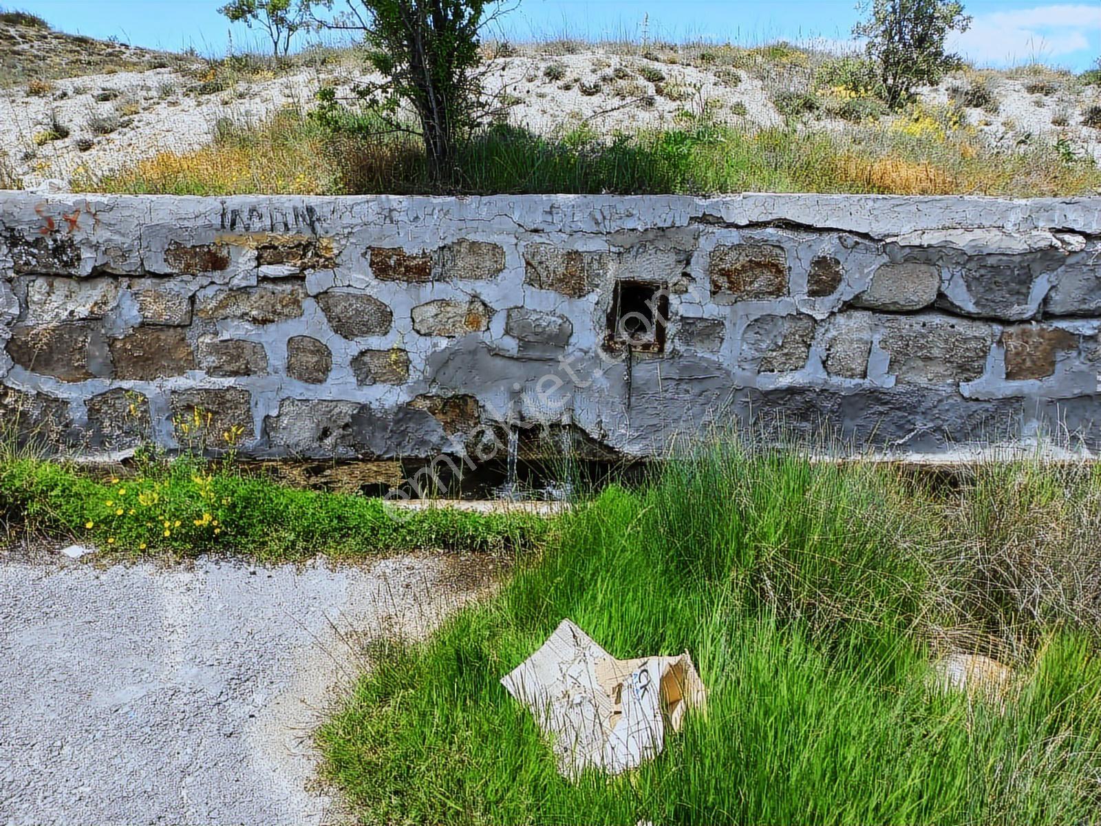 Çamlıdere Elmalı'da 5693 M2 Meyve Ağaçlı Tek Tapu Satılık Bahçe