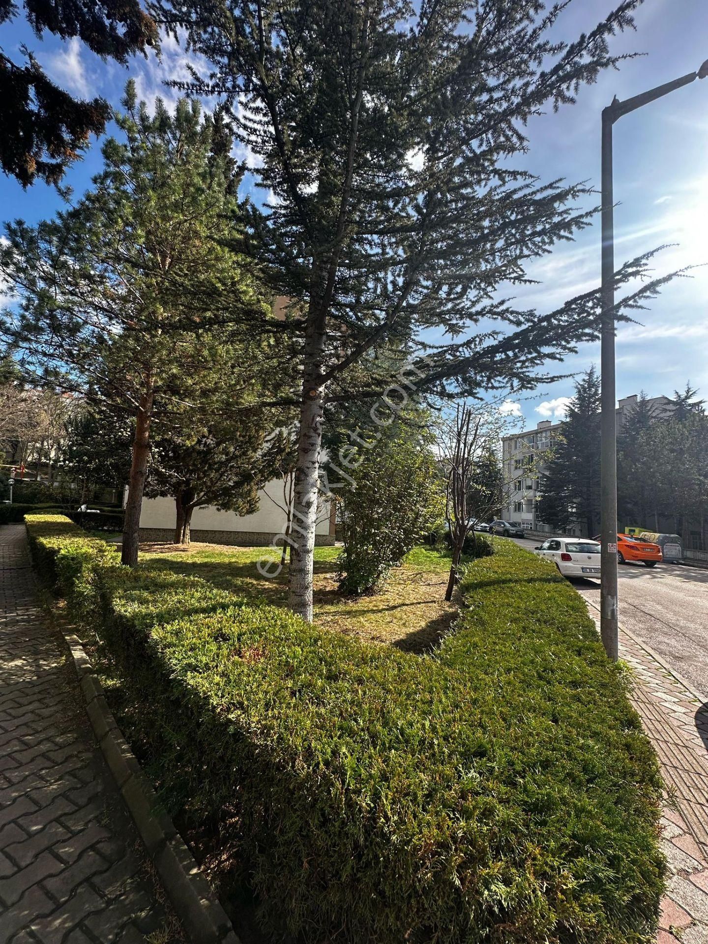 Sahibinden Kiralık 2+1 Daire Temiz Yapılı - Görsel 4