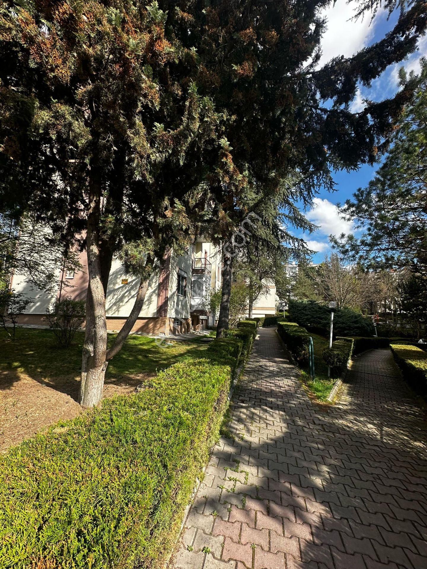 Sahibinden Kiralık 2+1 Daire Temiz Yapılı - Görsel 2