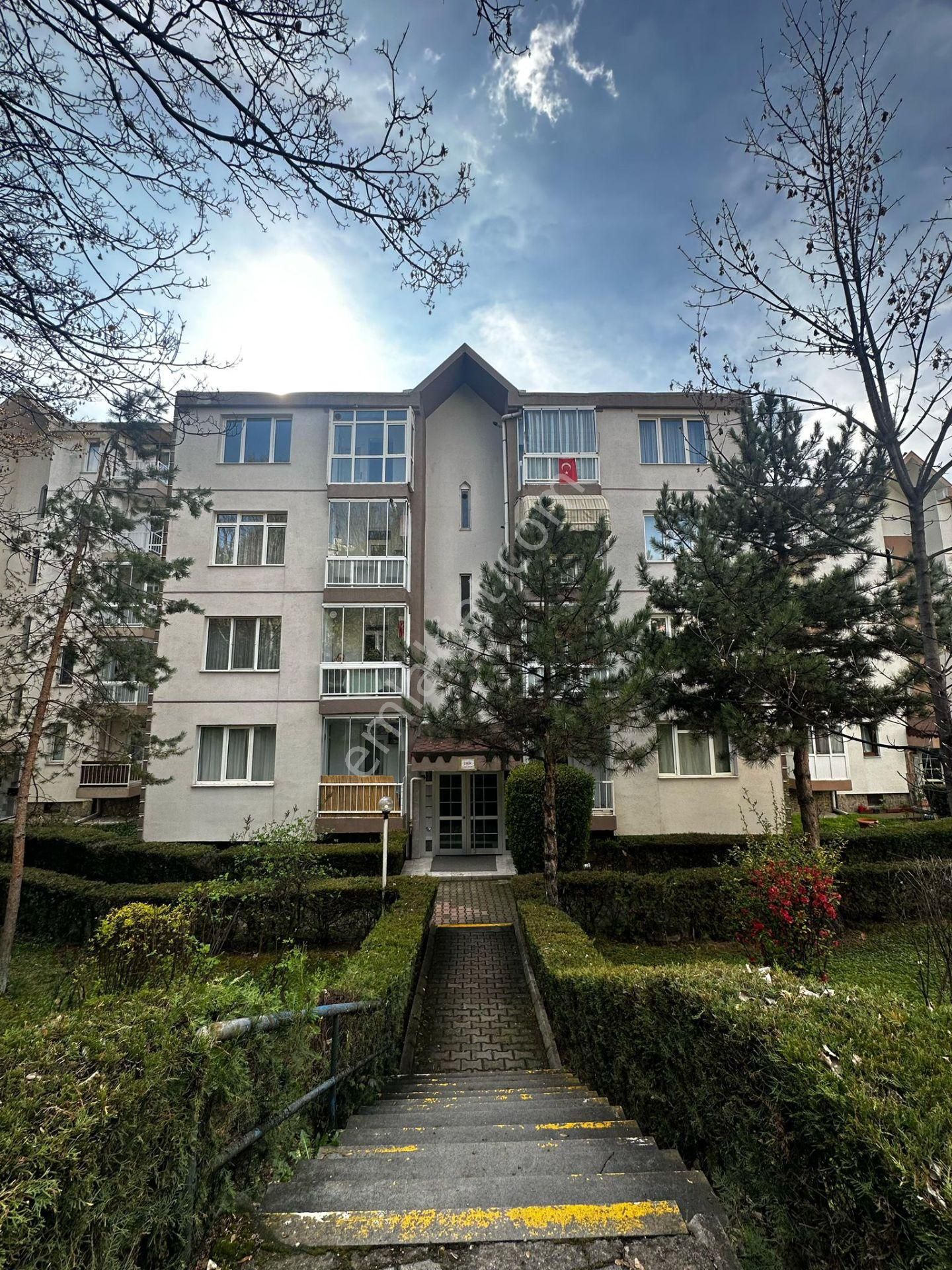 Sahibinden Kiralık 2+1 Daire Temiz Yapılı - Görsel 6