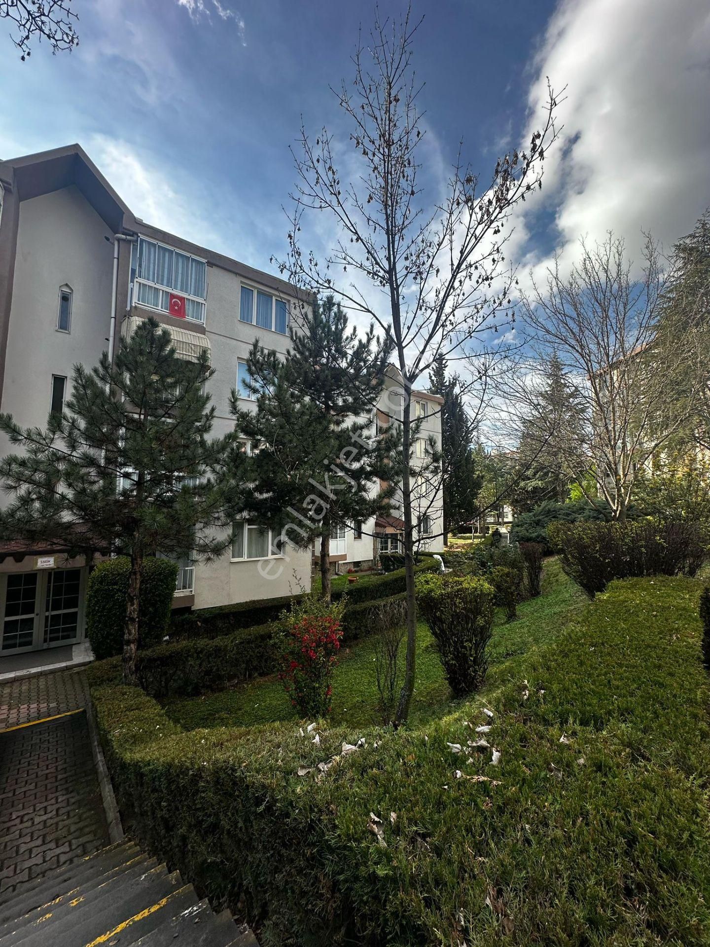 Sahibinden Kiralık 2+1 Daire Temiz Yapılı - Görsel 3