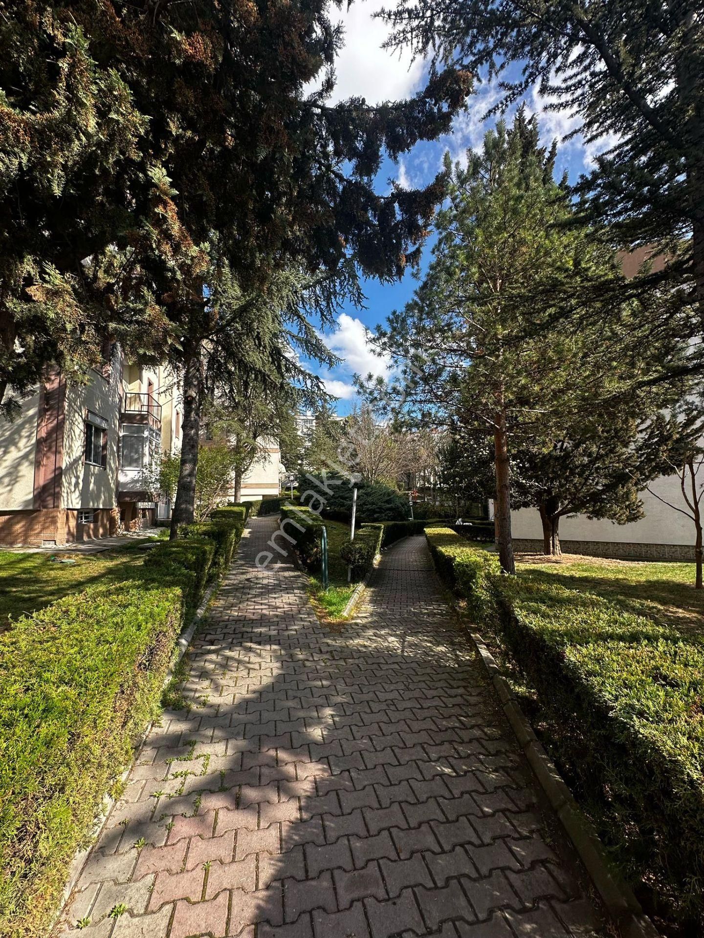 Sahibinden Kiralık 2+1 Daire Temiz Yapılı - Görsel 5