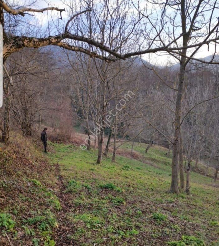 Turyap Körfez Temsilciliği'nden Satılık Köy İçi İmarlı Tarla - Görsel 8