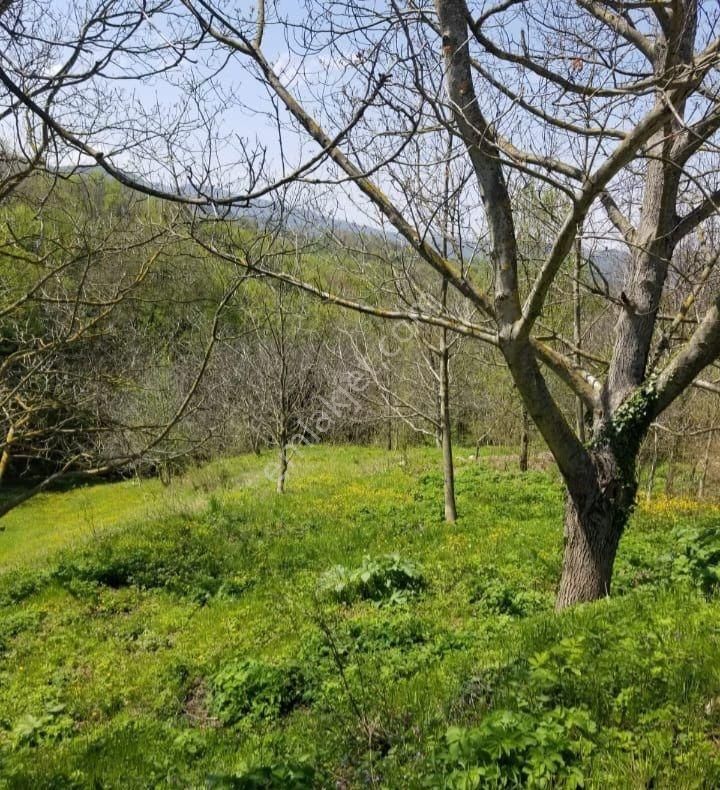 Turyap Körfez Temsilciliği'nden Satılık Köy İçi İmarlı Tarla - Görsel 6