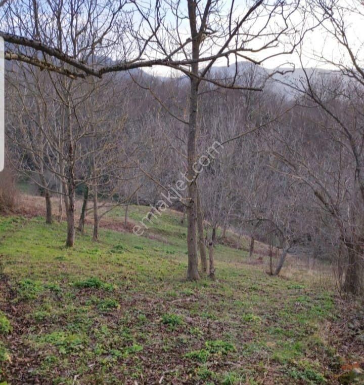 Turyap Körfez Temsilciliği'nden Satılık Köy İçi İmarlı Tarla - Görsel 5